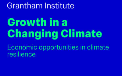 Growth in a Changing Climate: Economic Opportunities in Climate Resilience (invite-only)