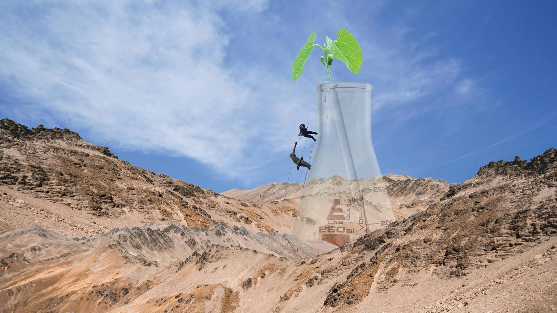 Collage shows a conical flask in a desert landscape with tiny people climbing up it. The flask contains a green leafy plant.