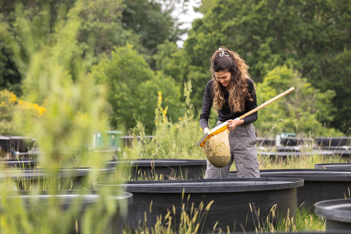 Research at Silwood Park Campus - Roseline OKelly ( O'Kelly ) Graduate teaching assistant - Postgraduate