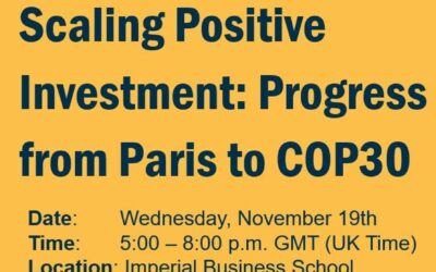 Scaling Positive Investment: Progress from Paris to COP30