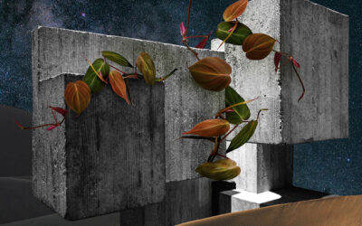 Rebuilding Concrete and Cement