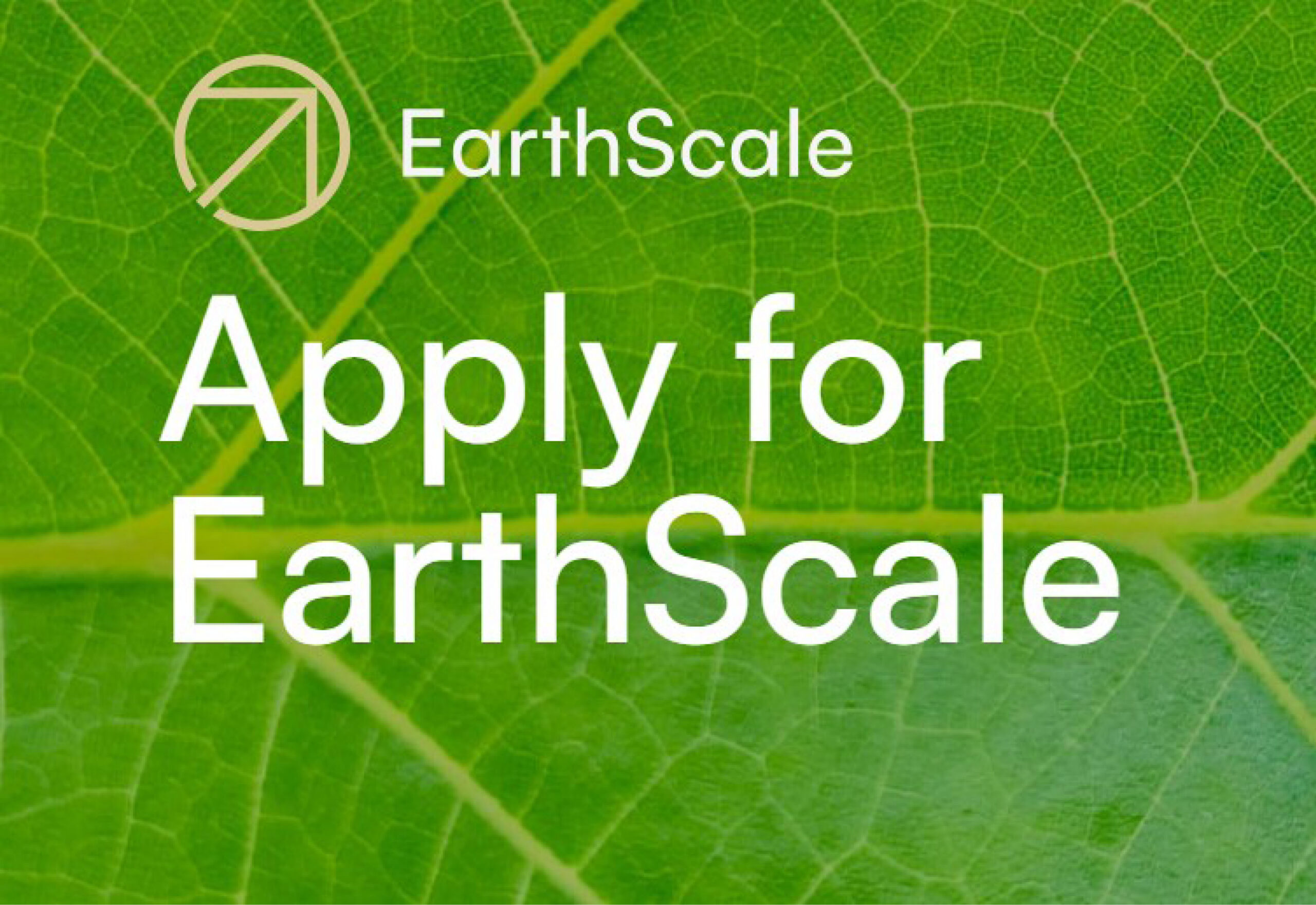 Apply for Earth Scale