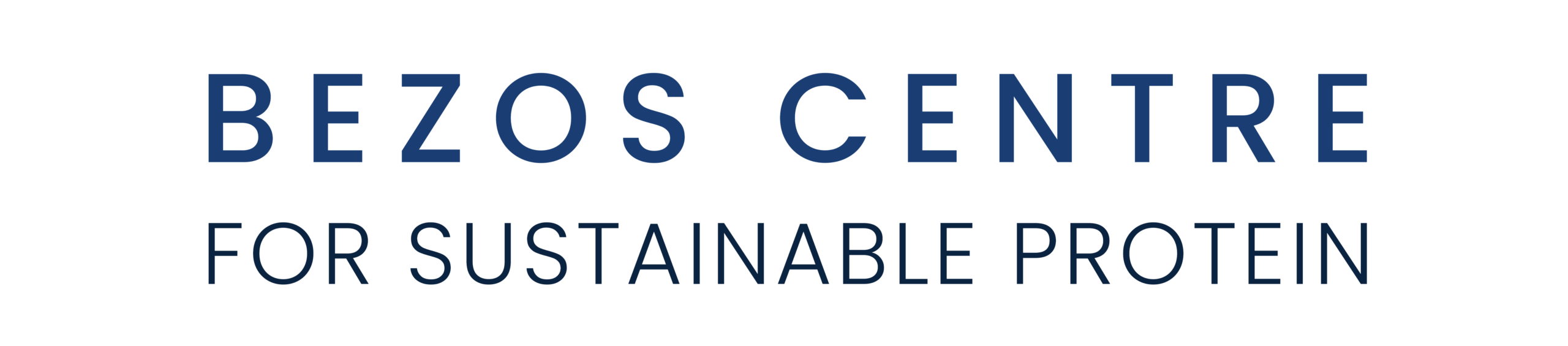 Besoz Centre logo - stacked